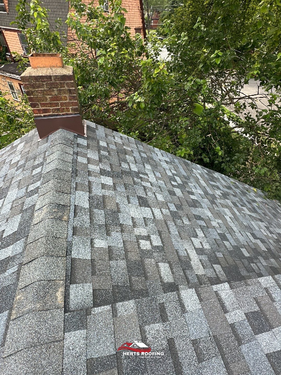 project photo — during