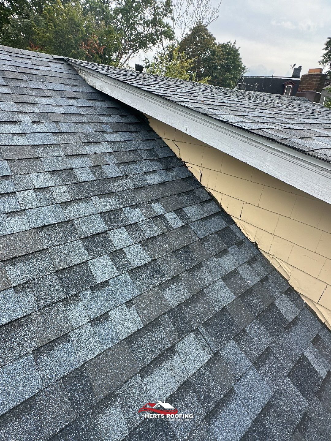 project photo — during