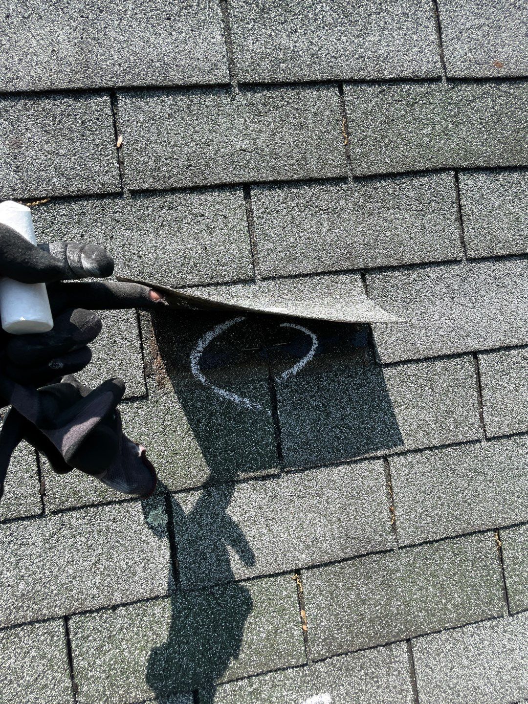 project photo — during