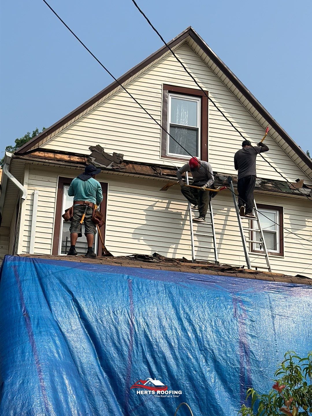 project photo — during